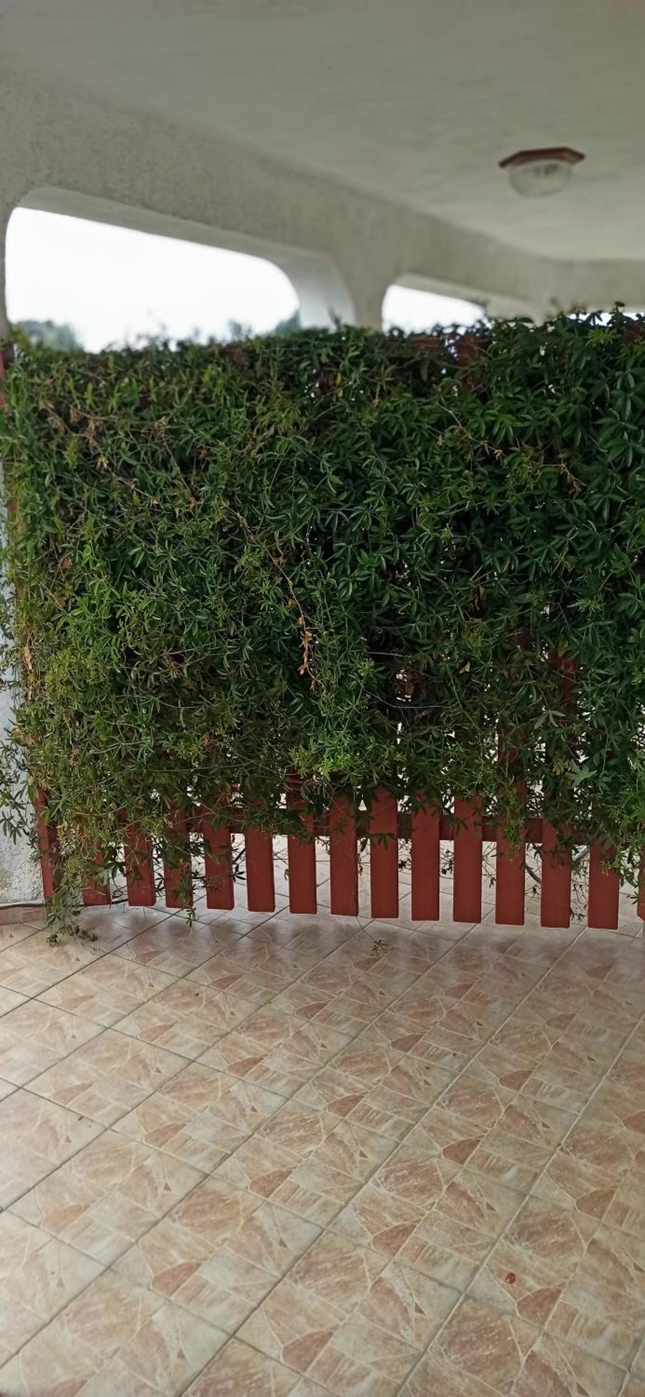 Apartmani Natasa Vrsar Zewnętrze zdjęcie